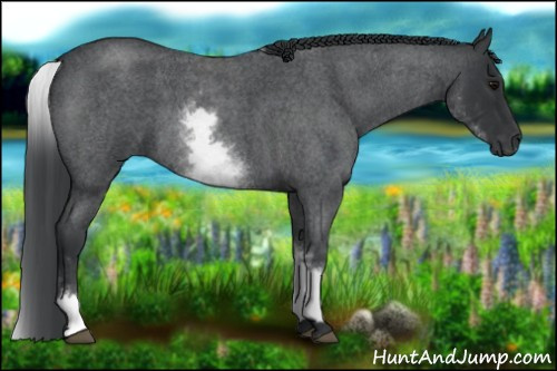 Horse Color: White Spotted Blue Roan 