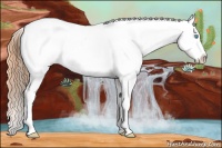 Horse Color:White Spotted Buckskin Pearl Dun Blanket 
