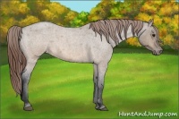 Horse Color:Brown Roan Dun Varnish 