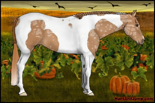 Horse Color:Chestnut Ice Tobiano 