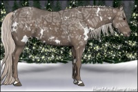 Horse Color:White Spotted Silver Black Ice 