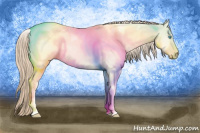 Horse Color:Perlino Dun Tobiano 