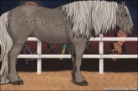 Horse Color:Silver Black 