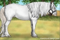 Horse Color:Gold Champagne Tobiano Blanket 