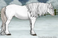 Horse Color:Chestnut Tobiano Snowcap 