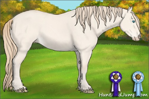 Horse Color: Perlino Dun 