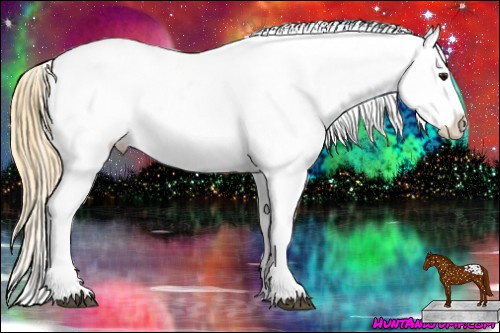 Horse Color: Buckskin Roan Snowcap 