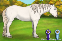 Horse Color:Perlino Dun 