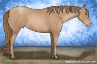Horse Color:Black Pearl