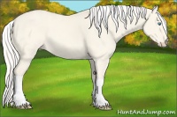 Horse Color:White Spotted Cremello Dun Tobiano 