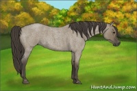 Horse Color:Smoky Grullo Roan 