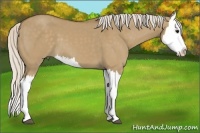 Horse Color:Silver Smoky Grullo Splash