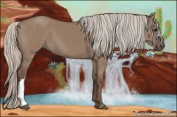 Horse Color:Silver Grullo 