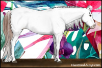 Horse Color:Bay Tobiano Near Leopard 