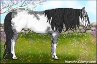 Horse Color:Black Ice Frame