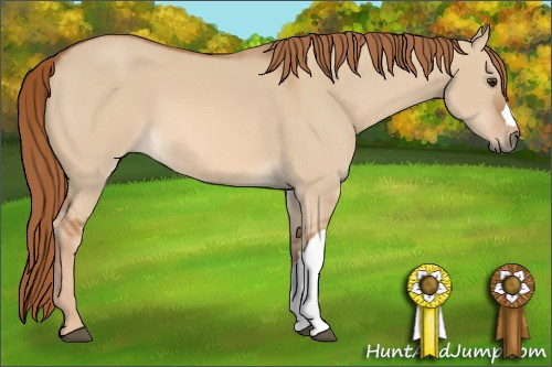 Horse Color: Red Dun 
