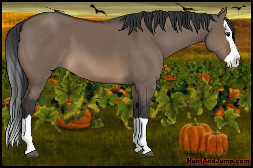 Horse Color: Brown Dun Splash 