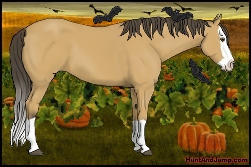 Horse Color: Buckskin Splash 