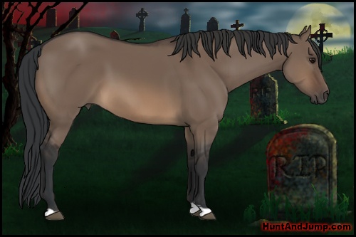 Horse Color: Brown Dun 