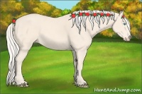 Horse Color:Cremello 