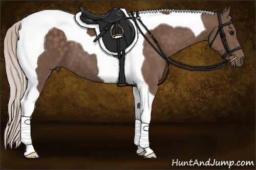 Horse Color:Silver Black Tobiano