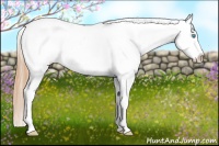 Horse Color:White Spotted Buckskin Pearl Dun Splash Appaloosa