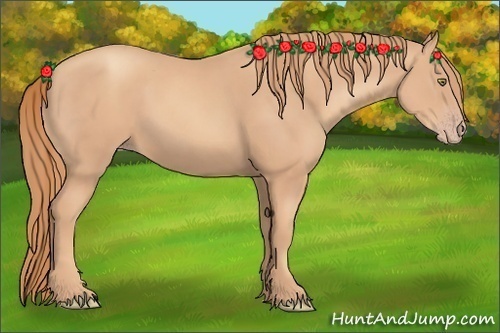 Horse Color: Gold Champagne 
