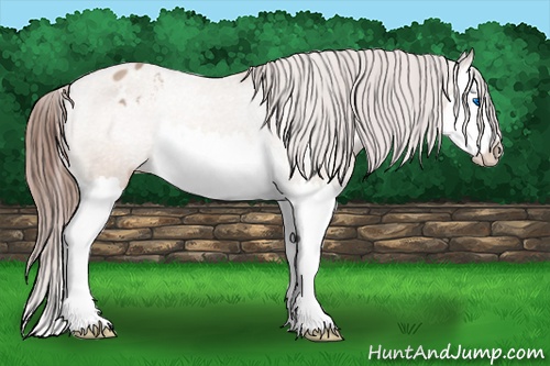 Horse Color: Amber Champagne Splash Varnish 
