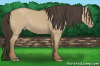 Horse Color:Classic Cream Champagne Dun Rabicano 
