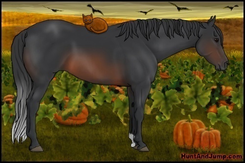 Horse Color: Brown 