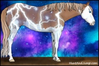 Horse Color:Red Roan Splash 