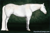 Horse Color:White Spotted Silver Perlino Dun 