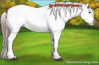 Horse Color:Grullo Splash Tobiano Blanket 