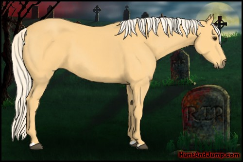 Horse Color: Palomino 