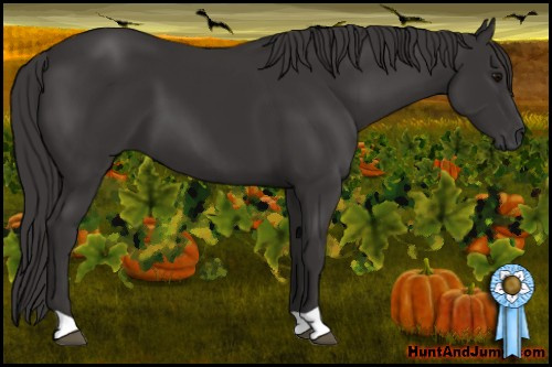 Horse Color: Buckskin 