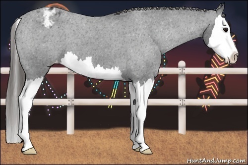 Horse Color: Blue Roan Splash Blanket 