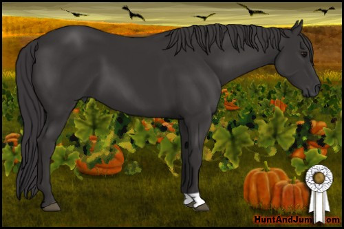 Horse Color: Buckskin 