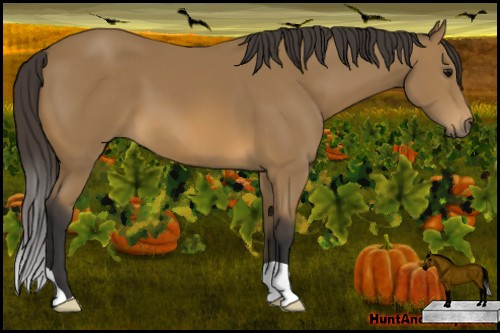Horse Color: Buckskin 