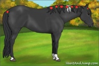 Horse Color:Black Tobiano 
