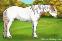 Horse Color:Chestnut Tobiano Frame