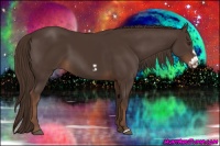 Horse Color:Liver Chestnut Frame 