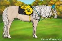 Horse Color:Cremello 