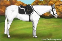 Horse Color:Silver Buckskin Roan Tobiano Appaloosa