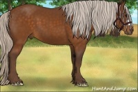 Horse Color:Silver Buckskin 