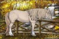 Horse Color:Perlino 