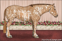 Horse Color:Red Dun Splash Brindle
