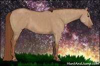 Horse Color:Red Dun Splash Brindle