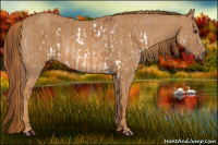 Horse Color:Liver Red Dun Splash  Brindle