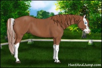 Horse Color:Chestnut Splash  Brindle