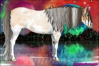Horse Color:White Spotted Buckskin Roan Splash Frame 